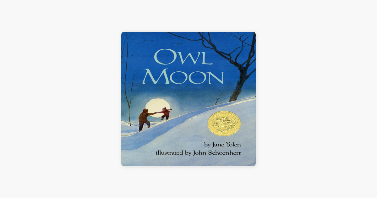 Owl Moon